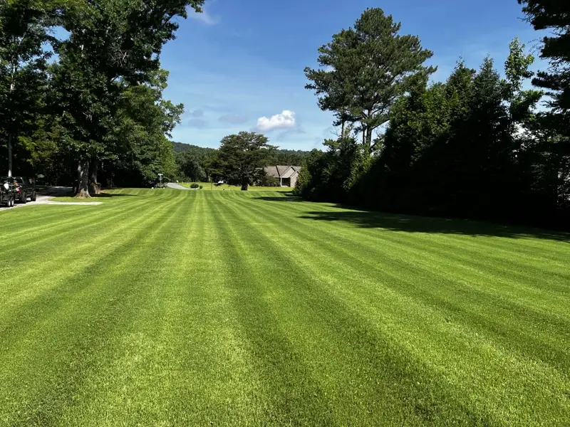Wide lawn maintained by America Landscapes with crisp mowing stripes